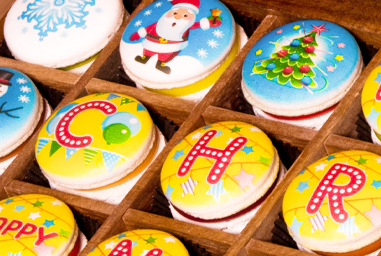 Merry Cristmas & New Year